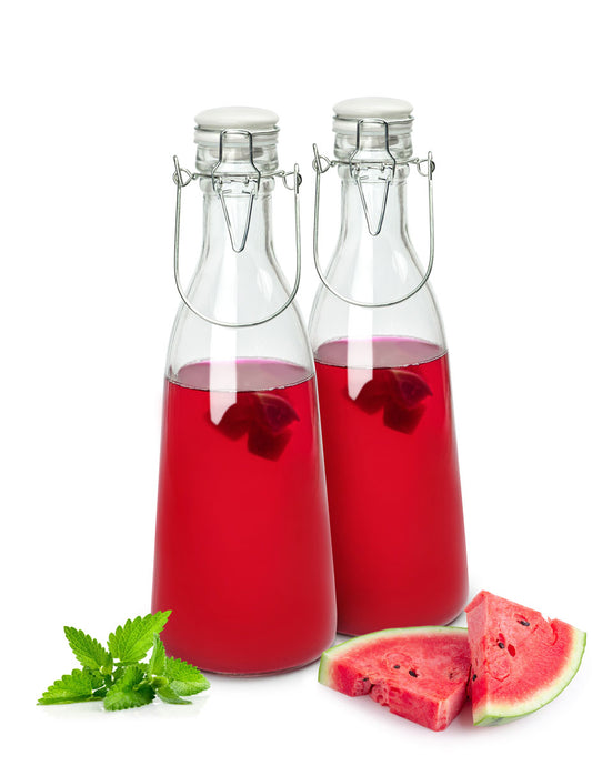 Lot de 2 bouteilles en verre avec bouchon pivotant et poignée bouteille de lait 1000 ml bouteille de jus