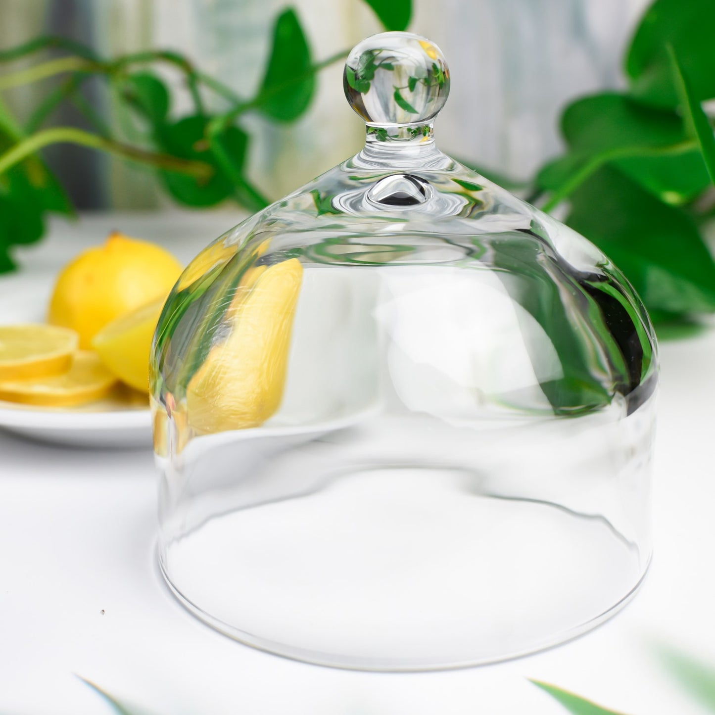 Glashaube mit Porzellanteller Glasglocke Zitronenglocke Glasdom Dekoglocke