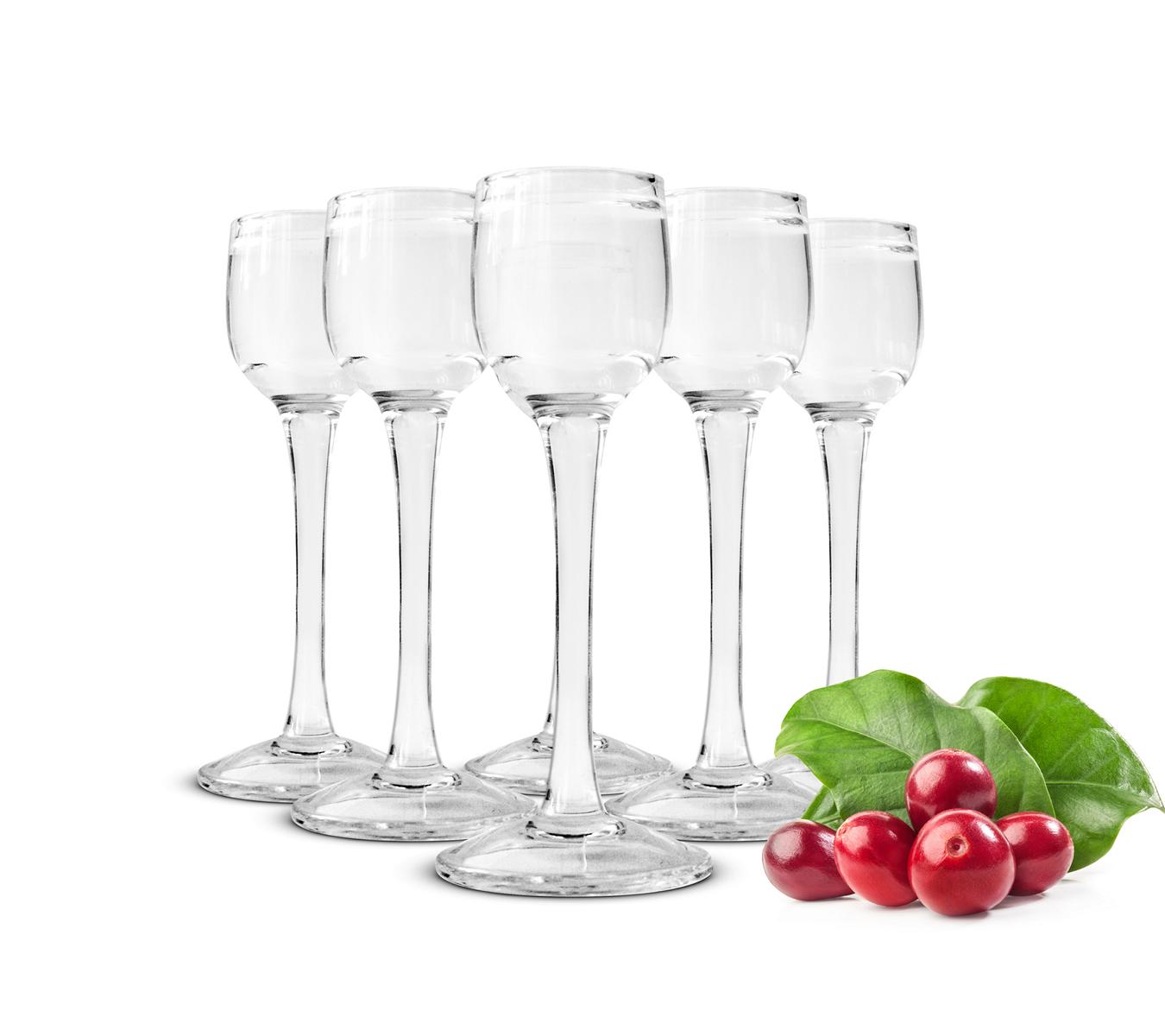 6 klare Schnapsgläser auf Füß 25ml Likörgläser Tequilagläser Aperitif Stamper Schnaps Shots