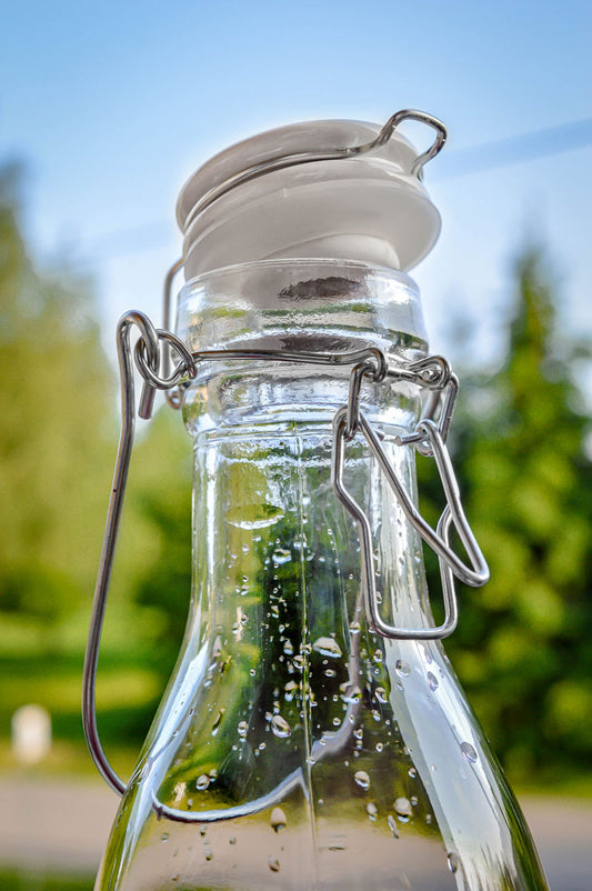 Set of 2 glass bottles with swing top and handle 1000ml milk bottle juice bottle