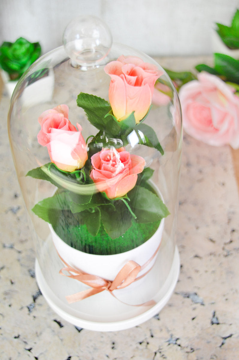 Glass bell with porcelain plate decorative bell glass lintel glass dome glass hood decorative table decoration 30cm