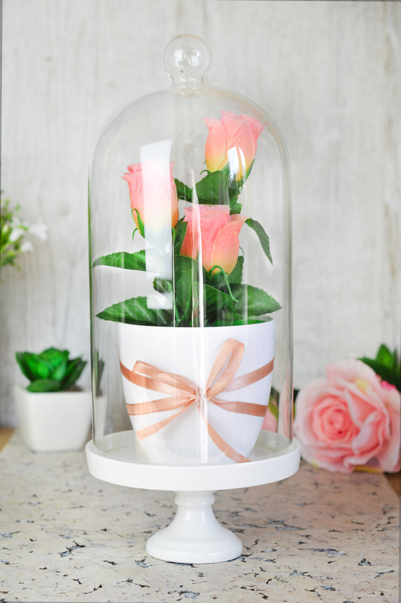 Glass bell with porcelain plate decorative bell glass lintel glass dome glass hood decorative table decoration 30cm