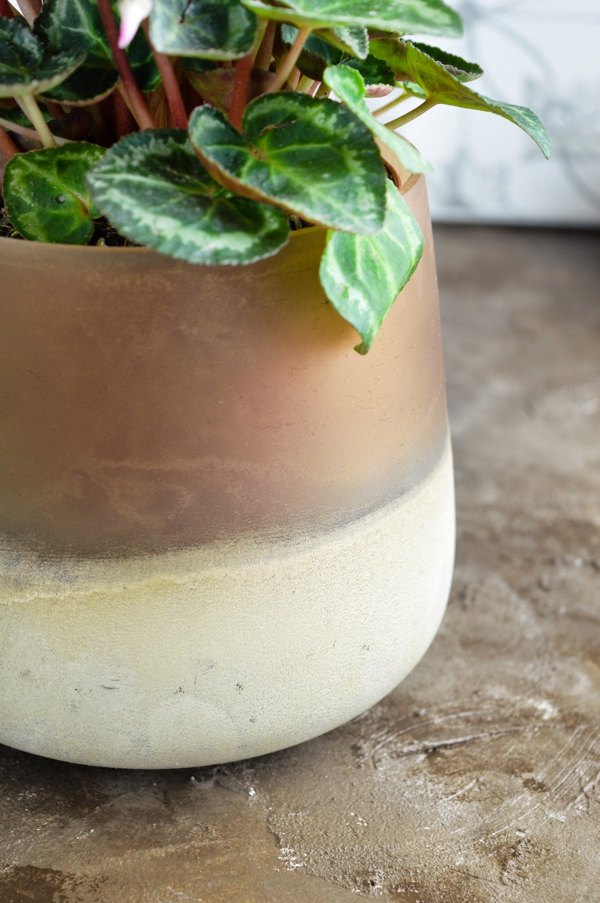 Flower vase Barbara table vase glass vase decorative vase flower pot plant pot