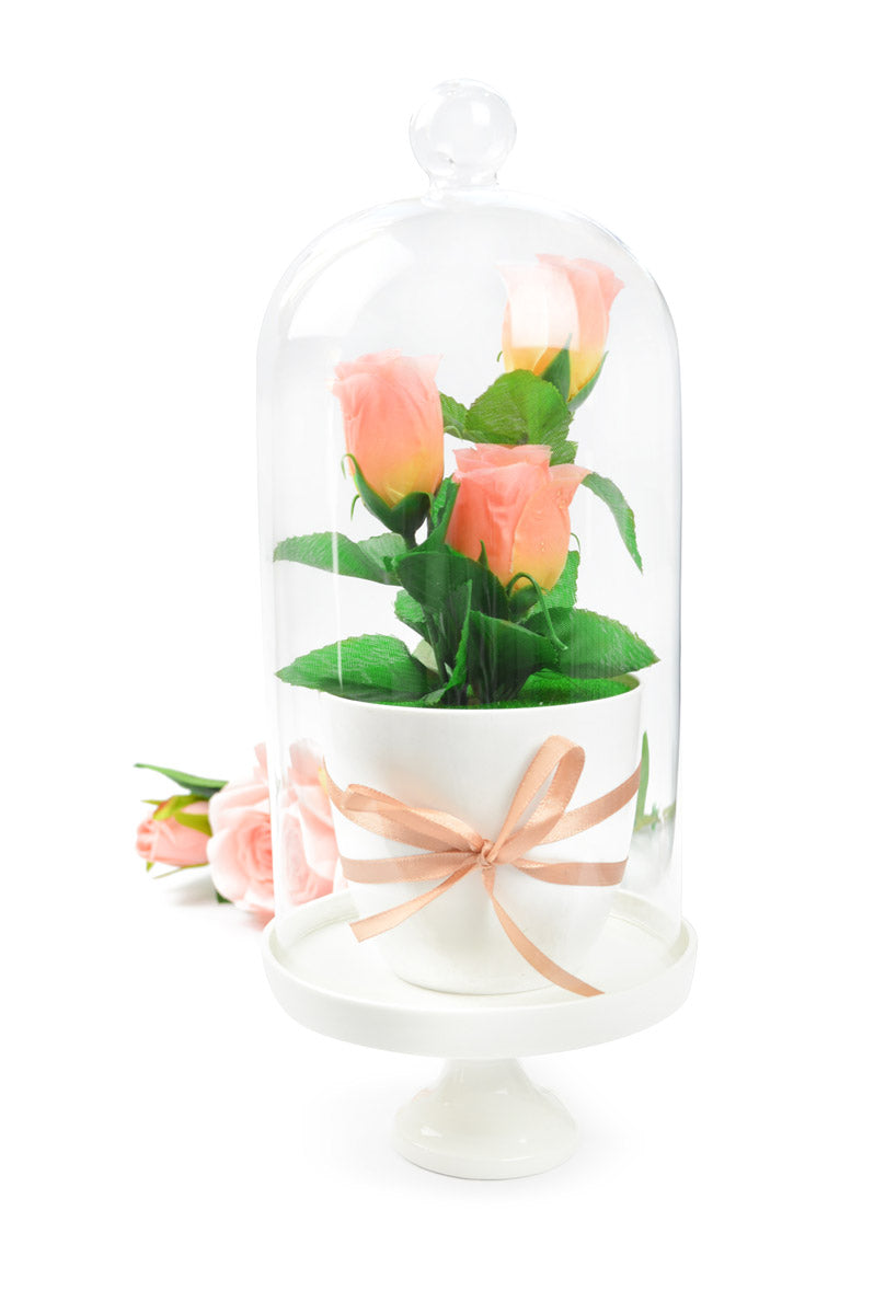 Glass bell with porcelain plate decorative bell glass lintel glass dome glass hood decorative table decoration 30cm