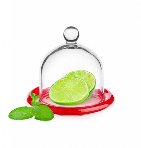 Glashaube mit Teller 9,5cm Glasglocke Zitronenglocke Zwiebelglocke Glasdom 6 Varianten