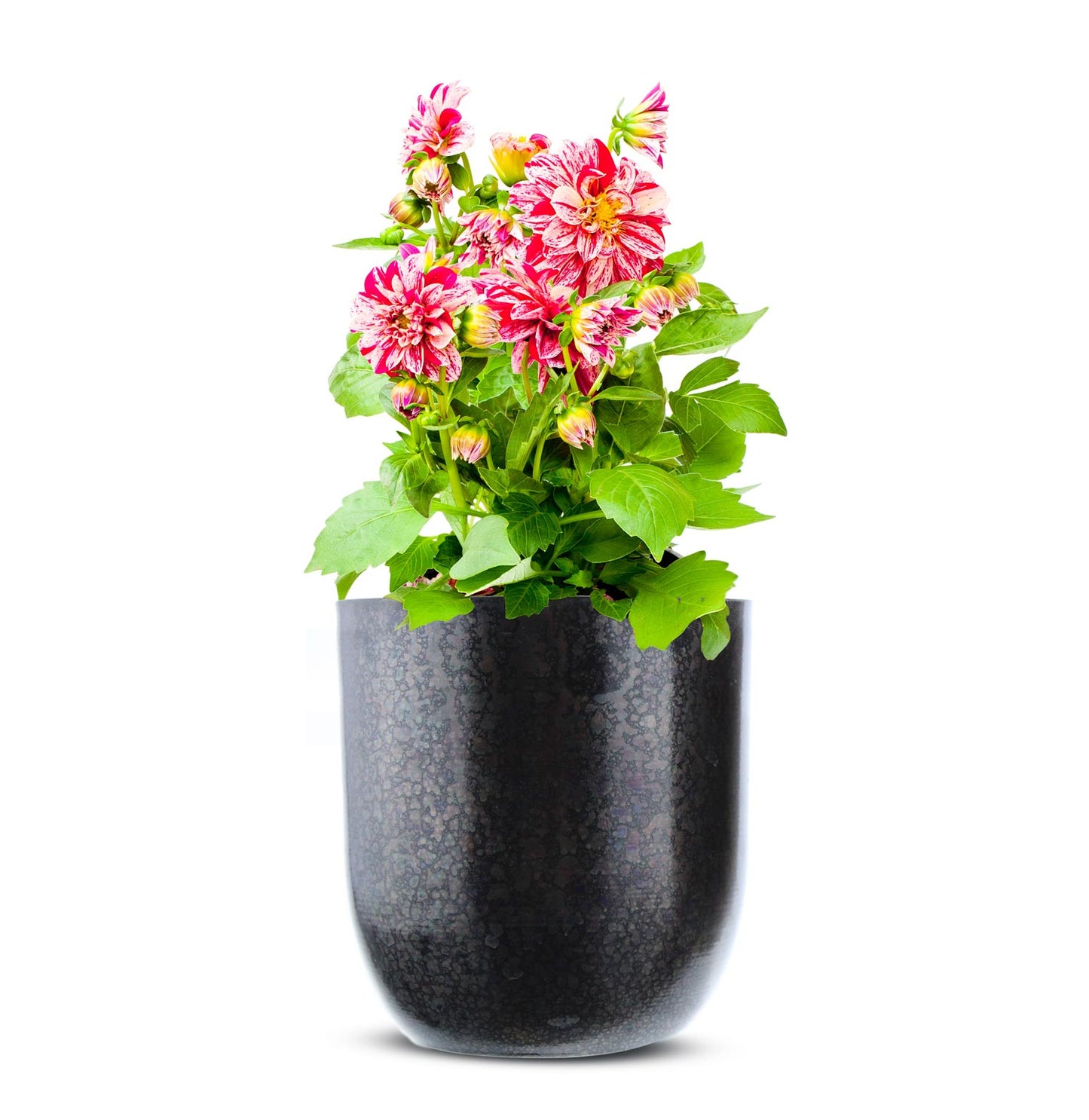 Übertopf aus Metall Pflanzentopf Blumenkübel Blumenübertopf Vase Blumenvasen Blumentopf