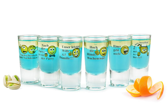 6 shot glasses tequila glasses with sayings glasses schnapps shots stamper vodka glasses