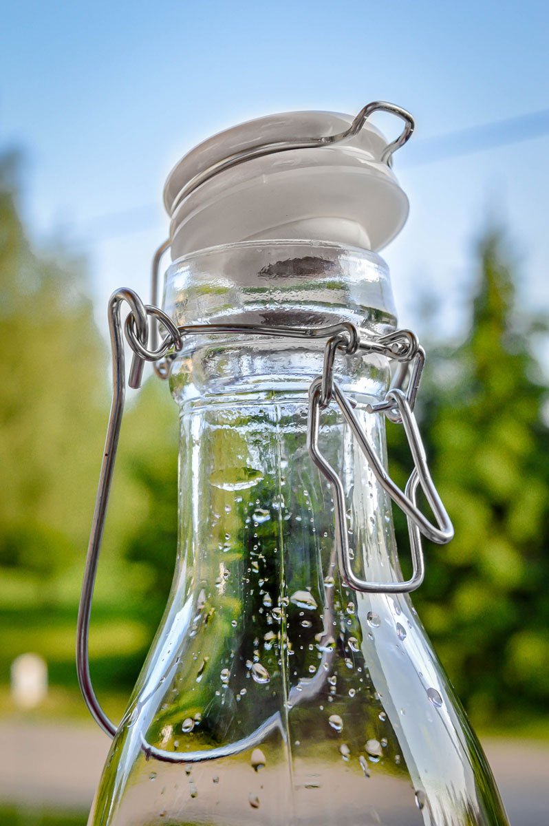 2er Set Glasflasche mit Bügelverschluss und Griff 1000ml Milchflasche