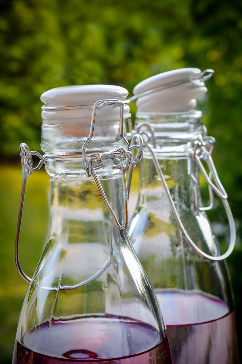 Lot de 2 bouteilles en verre avec bouchon pivotant et poignée bouteille de lait 1000 ml bouteille de jus