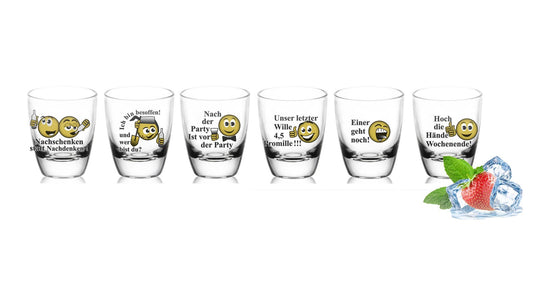6 Schnapsgläser Tequilagläser mit Sprüchen Shots Stamper Wodkagläser Barrel