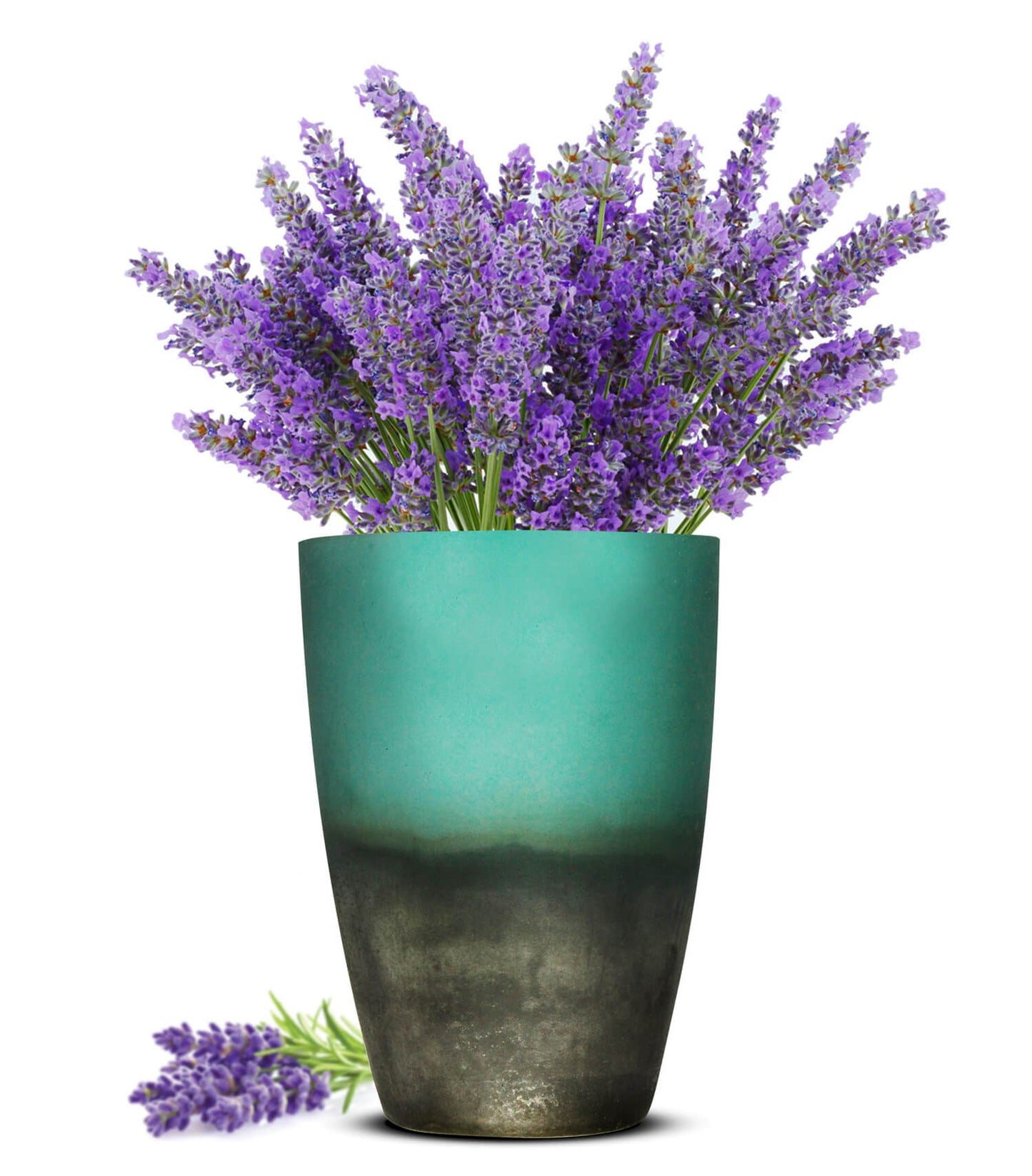 Vase à fleurs Vase Oxi Vase de table Vase en verre Vase décoratif Pot de fleur Pot de plante