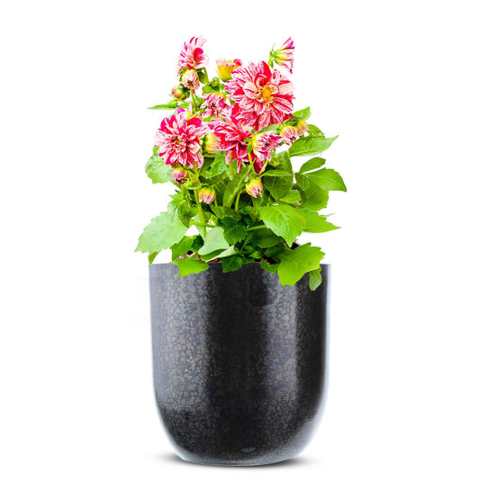 Planter made of metal plant pot flower pot flower pot vase flower vases flower pot